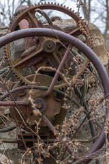 Forgotten mechanisms. Old gears in nature