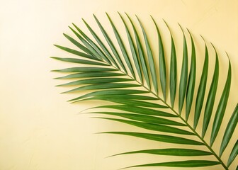 Obraz premium Green Palm Leaf on Yellow Background