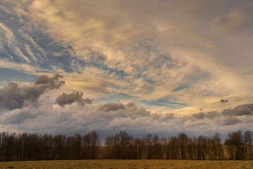 A barren field stretches to the horizon under a dramatic, cloudy sky. A row of bare trees stands...