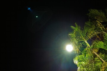 Tropical night scene with palm trees illuminated by a streetlight, creating a lens flare effect in the dark sky. A mysterious floating shape with a green light adds an intriguing touch.