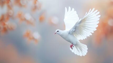 "White Dove in Flight Against #733356 Background"