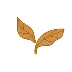 tobacco leaf vector