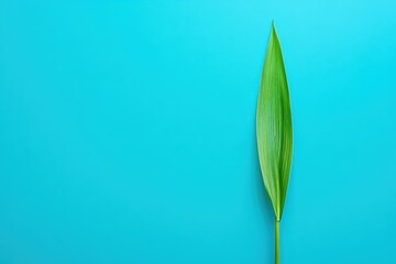 Obraz premium Green leaf placed against a vibrant teal colored backdrop