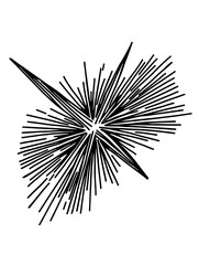 Dynamic vector design featuring an abstract burst of lines conveying energy and motion, ideal for graphic projects and creative uses