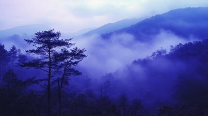 Fototapeta premium Gentle mist drifts through an enchanting landscape of rolling hills and towering trees as the dawn breaks, casting a soft purple hue across the serene forest setting, evoking calmness