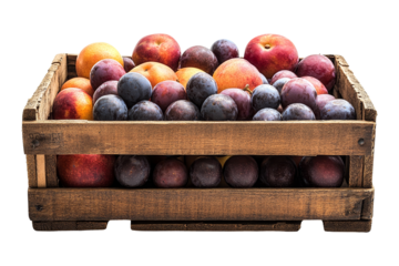 Outdoor fresh fruit stall market display from above