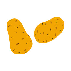 Unique illustration of two stylized sweet potatoes on a clean white background showcasing natural textures and colors