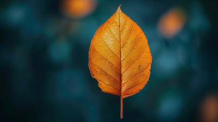 The best image for Automn leaves Generative AI