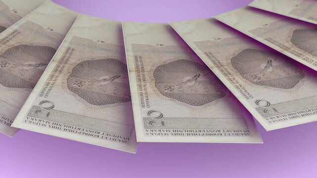 clear Looping Design 20 Marka Curency of Bosnia and Herzegovina