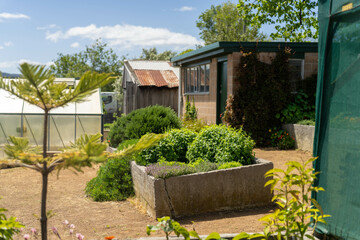 holistic vegetable garden growing in springtime