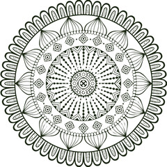 Beautiful flower art and mandala vector design