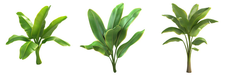 Obraz premium Lush green plants on a transparent background for nature designs