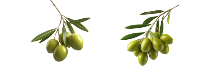 Fresh green olives on a transparent background nature food close-up