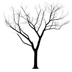 Obraz premium A tree with no leaves is shown in black and white. The tree is bare and has no leaves, giving it a somber and melancholic appearance