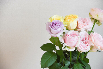 カラフルなばら