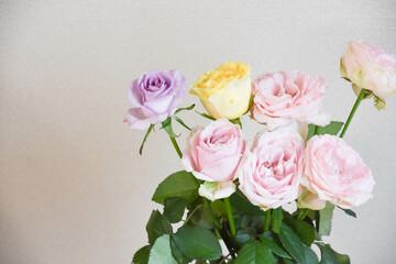 カラフルなばら