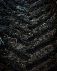Empreinte de pneu de tracteur dans un champs, France