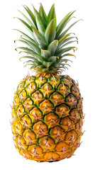 Fototapeta premium A Vibrant Pineapple: Tropical Fruit Close-Up