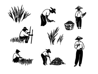 Harvesting time captures the dedication of workers amidst nature, showcasing traditional farming activities and community