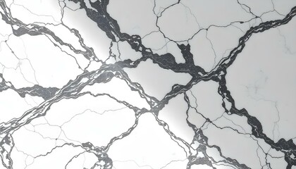 Fototapeta premium White marble texture with bold dark gray veins, sharp contrasts under dramatic lighting