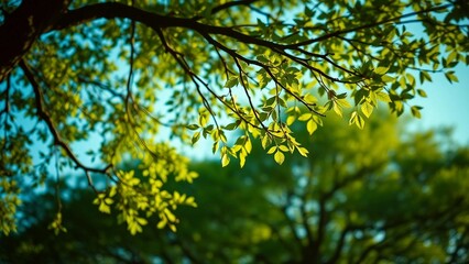 Fototapeta premium Connection between trees and wind is demonstrated through movement of leaves and branches symbolizin