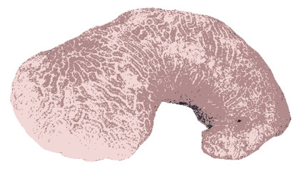 Coral rock pixel art