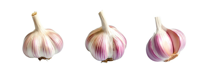 สำเนาขอFresh garlic with papery skin on a transparent backgroundง ขนาดกระดาษ 18:7 - 19