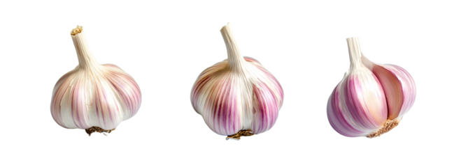 สำเนาขอFresh garlic with papery skin on a transparent backgroundง ขนาดกระดาษ 18:7 - 19