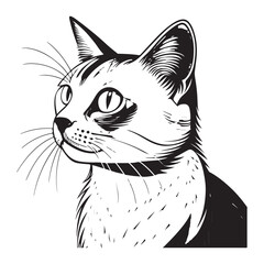 CAt Vector
