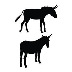 Set of Donkey black silhouette illustration on white background Vol 03