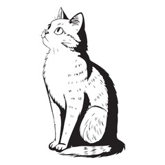 CAt Vector