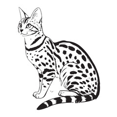 CAt Vector