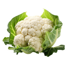 Cauliflower on Transparent Background