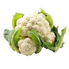 Cauliflower Isolated on White Background