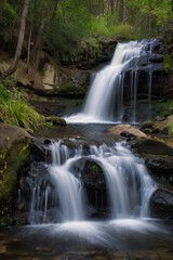 Fototapeta premium waterfall in the forest