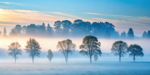 Serene Dawn Misty Meadow with Silhouetted Trees and a Soft, Pastel Sky