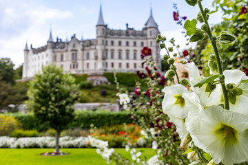 Dunrobin Castle, fairy-tale gem overlooking North Sea, offers breathtaking gardens, exquisite summer blooms. A masterpiece of elegance, lush landscapes meet historic charm, unfold on manicured lawns