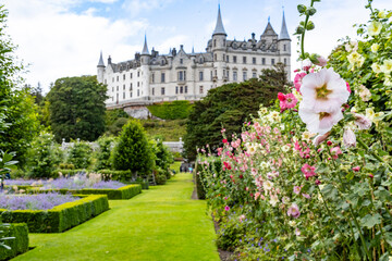 Dunrobin Castle, fairy-tale gem overlooking North Sea, offers breathtaking gardens, exquisite summer blooms. A masterpiece of elegance, lush landscapes meet historic charm, unfold on manicured lawns