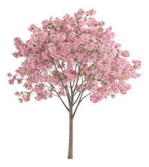 A tree with pink flowers is shown in a white background. The tree is the main focus of the image, and the pink flowers are the most prominent feature. The image has a serene and peaceful mood