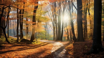 Fototapeta premium sun light texture