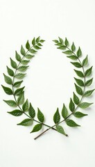 Obraz premium Dotted ferns in a circle on a plain white surface, foliage, circle, rounded shape