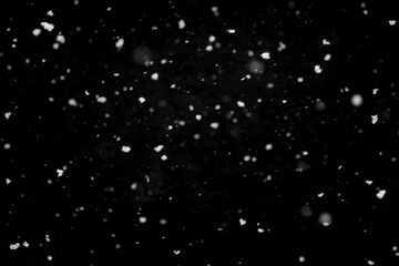 Texture of natural falling snow on black background.