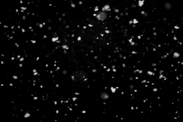Texture of natural falling snow on black background.
