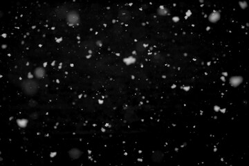 Obraz premium Texture of natural falling snow on black background.