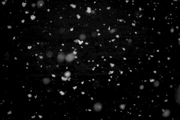 Texture of natural falling snow on black background.
