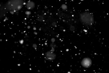 Texture of natural falling snow on black background.