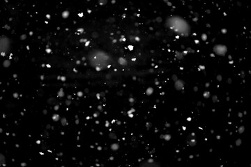 Fototapeta premium Texture of natural falling snow on black background.