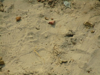 sand texture background, abstract nature background