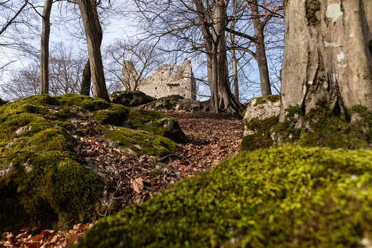 Burgruine Wildon in der S&uuml;dsteiermark