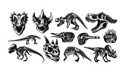 Vector dinosaur skeleton linocut print set, Jurassic reptile engraving sticker, triceratops silhouette, tattoo dino skull, reptor head, prehistoric archaeology fossil icon, woodcut © aura studio